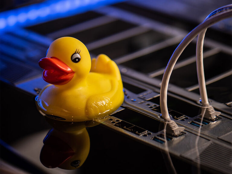 Immersion Cooling Meets Rubber Duck