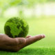 Going Green with Battery Health
